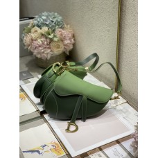 Dior Saddle Bag Calfskin Indigo Green Gradient