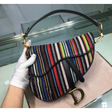 Dior Saddle Bag Embroidery Bead Rainbow