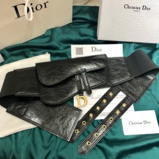 Dior Saddle Leather Belt Bag d33520