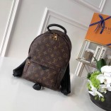 Louis Vuitton Palm Springs Backpack PM M41560