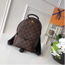 Louis Vuitton Palm Springs Backpack PM M41560