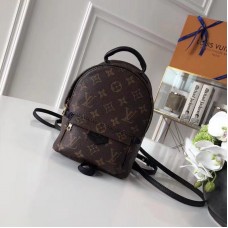 Louis Vuitton Palm Springs Backpack Mini M41562