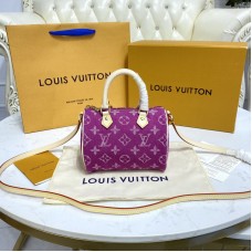 Louis Vuitton Nano Turenne Monogram Keepall Mini Damier Ebene M95052