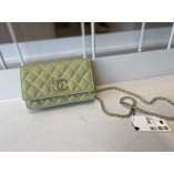 Chanel Classic Wallet On Chain Grained Calfskin AP1794 Grass Green