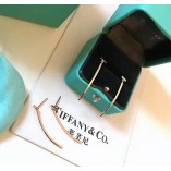 Tiffany & Co. T Bar Earrings