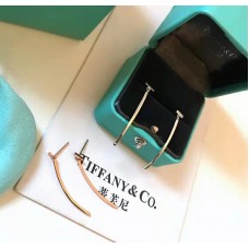 Tiffany & Co. T Bar Earrings