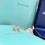 Tiffany & Co. X Earrings With Diamonds